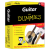 Guitar for Dummies level 2